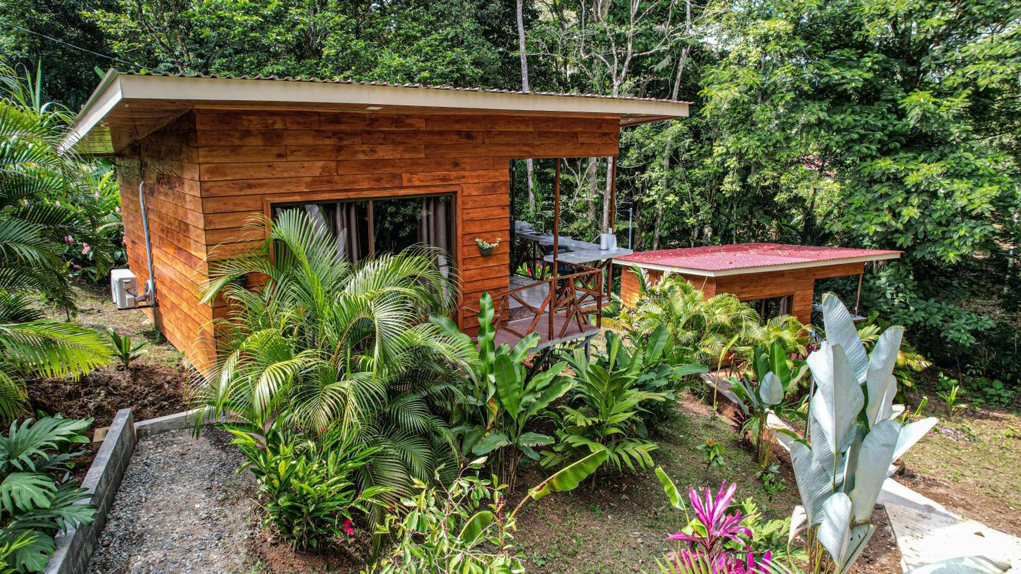 Bungalows Las Iguanas Arenal Volcano La Fortuna Luaran gambar