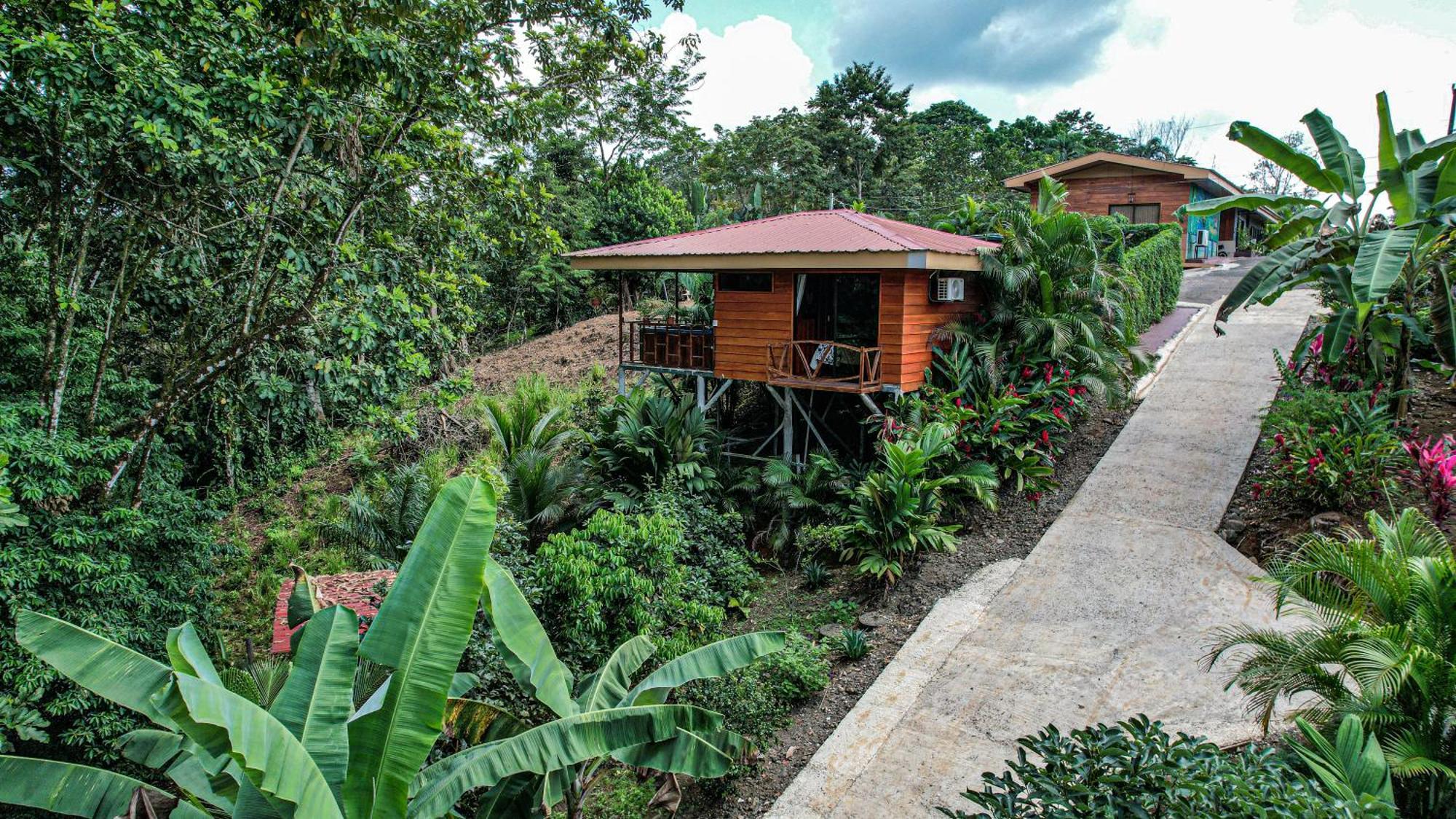 Bungalows Las Iguanas Arenal Volcano La Fortuna Luaran gambar