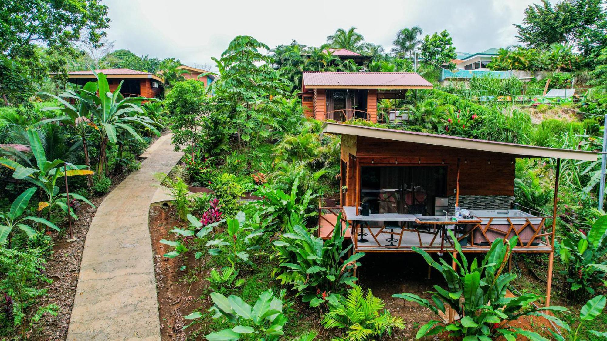 Bungalows Las Iguanas Arenal Volcano La Fortuna Luaran gambar