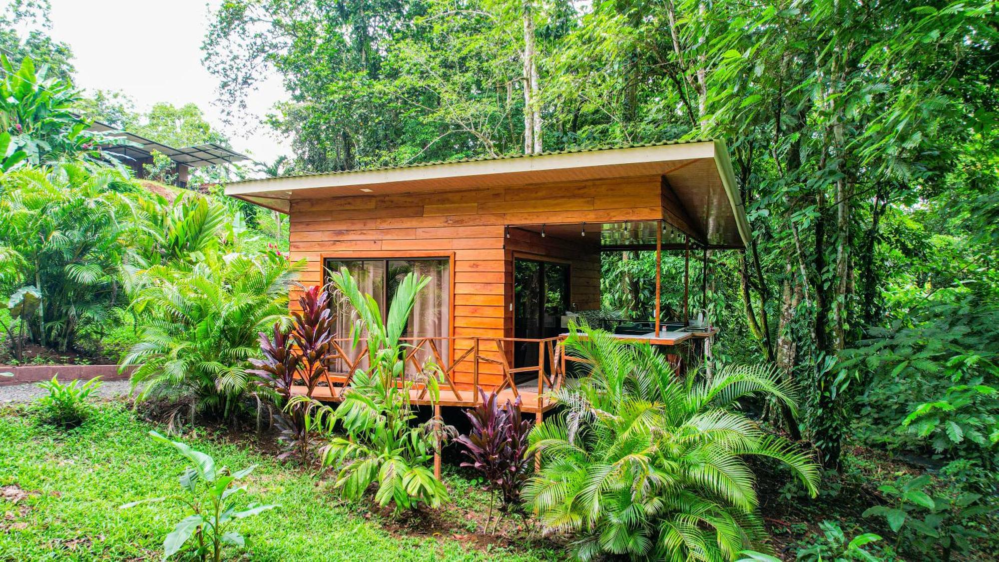 Bungalows Las Iguanas Arenal Volcano La Fortuna Luaran gambar